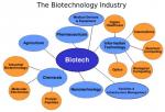 the-biotechnology-industry.jpg