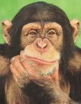 thinking2.jpg