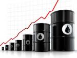 wso1oiltrade.jpg