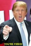 You're fired.