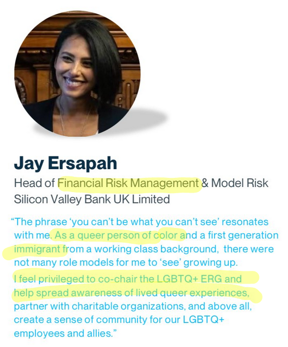 Screenshot of SIVB risk director
