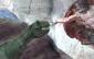 tyrannosaur's picture