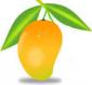 Mango's picture
