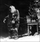 MonsterChimp101's picture