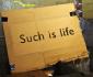 suchislife's picture suchislife's picture