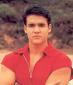 Red Power Ranger's picture
