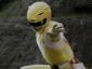 YellowRanger's picture