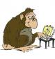 dirs10's picture