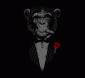 Monkey in Acquisitions's picture