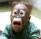 Mulah's picture
