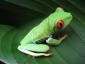 vanunyu's picture