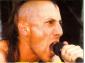 amufb1's picture