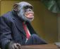 mr.bank's picture