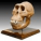 Australopithecus's picture