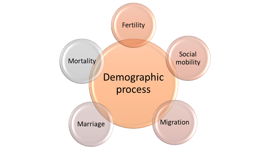 Demographic process