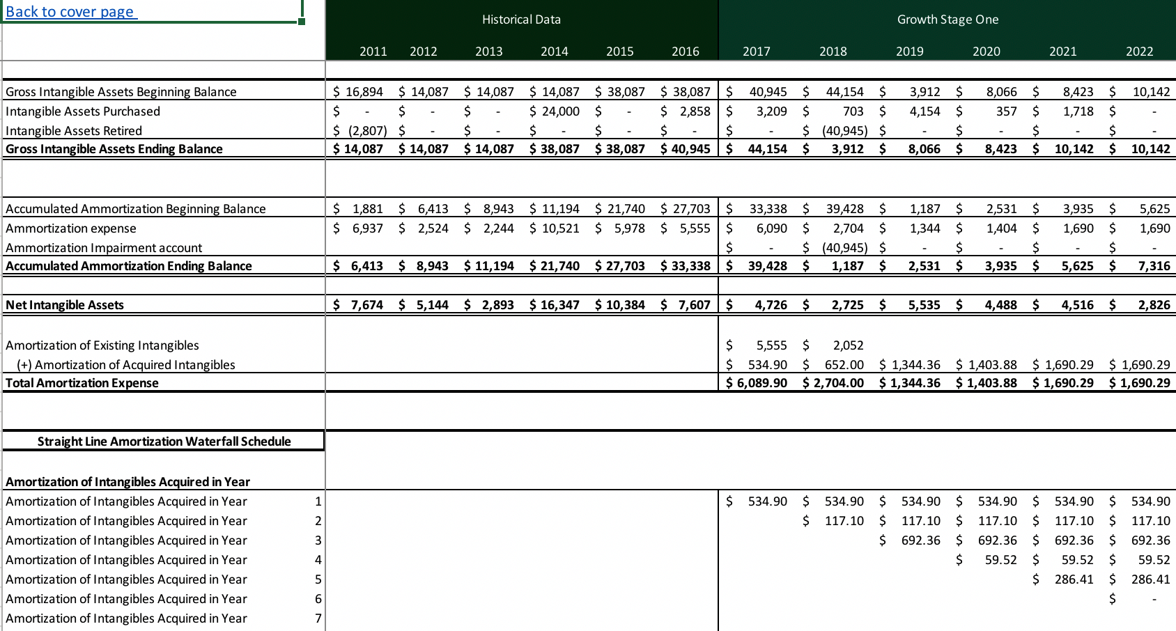 Intangibles Schedule Template