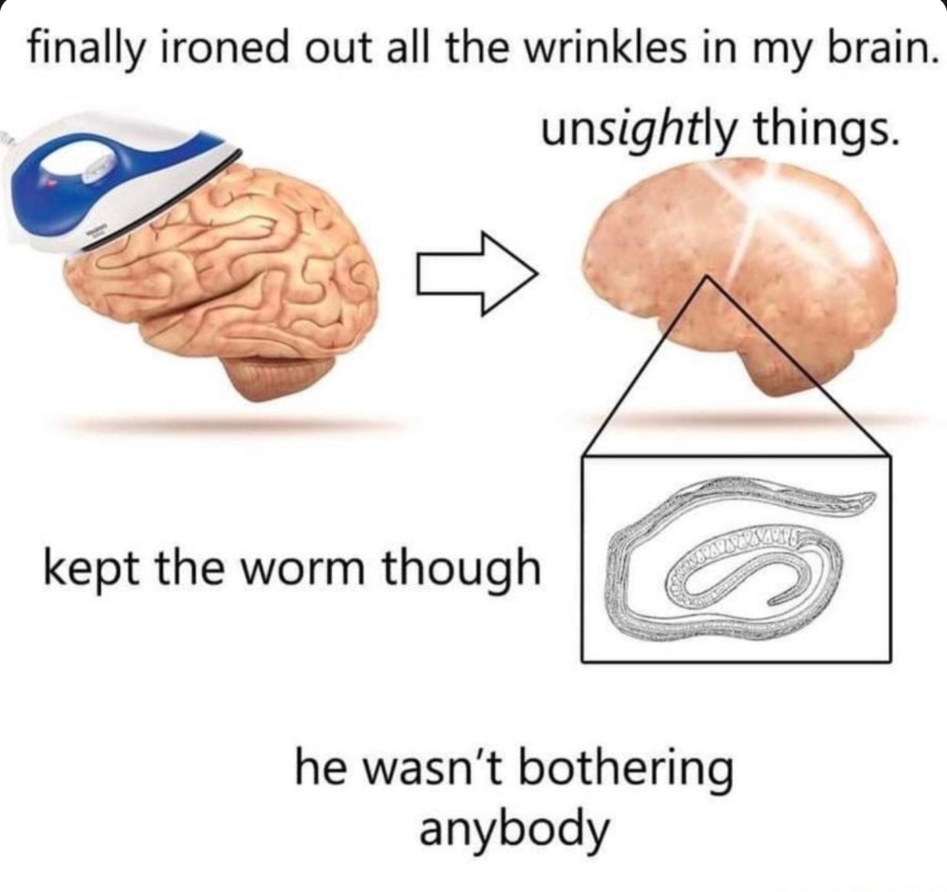 Smooth brain meme
