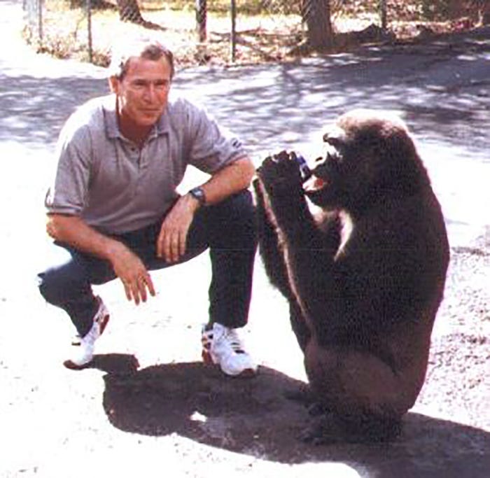 Harambe mom