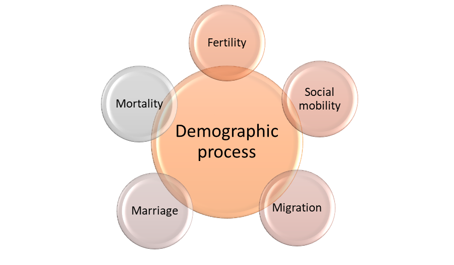 Demographic process