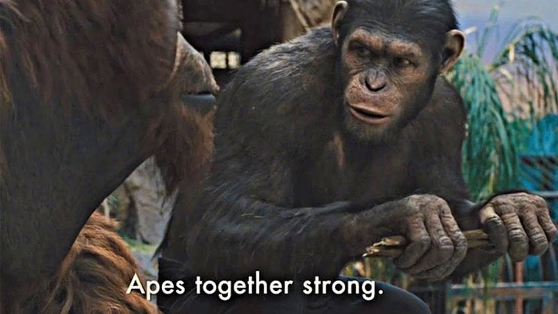 Apes together strong