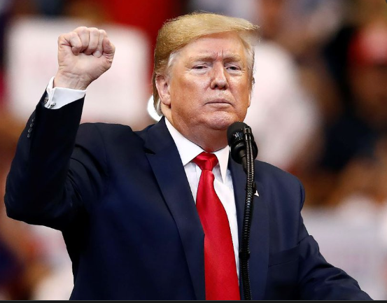 Trump Fist