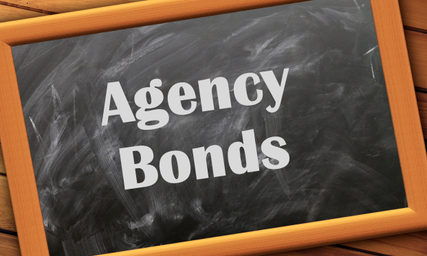 Agency Bonds