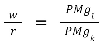 Lagrangian Multipliers