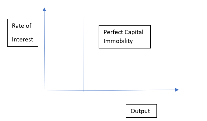 Perfect Capital Immobility
