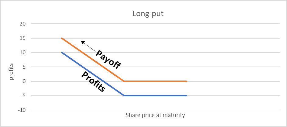 Long Put Graph