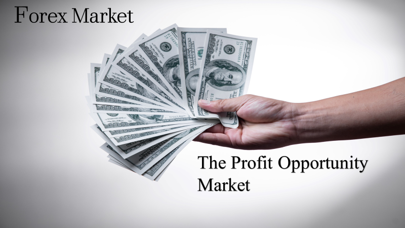 The Profit Opportunity Market