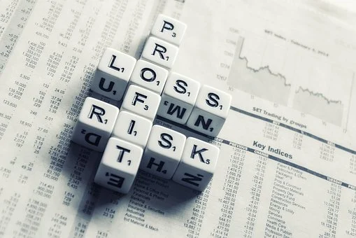 Risk, Loss, Profit