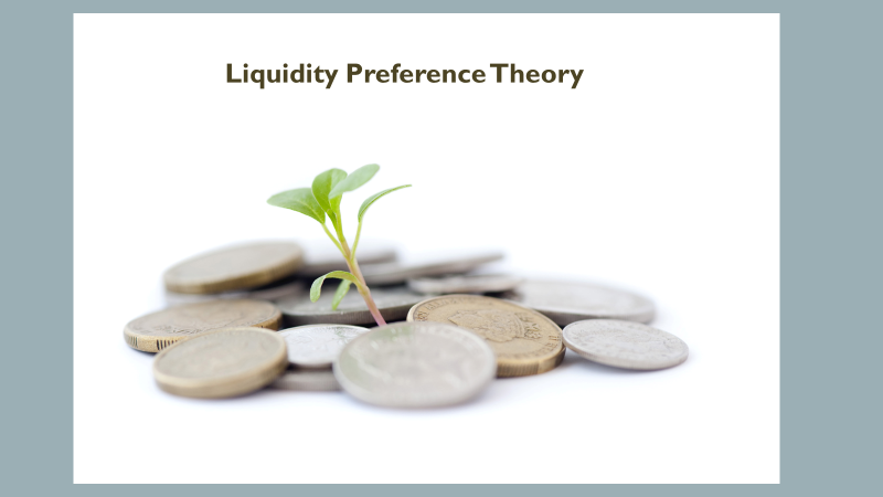 Theory of Liquidity Preference 
