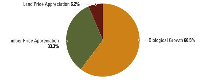 Pie Graph