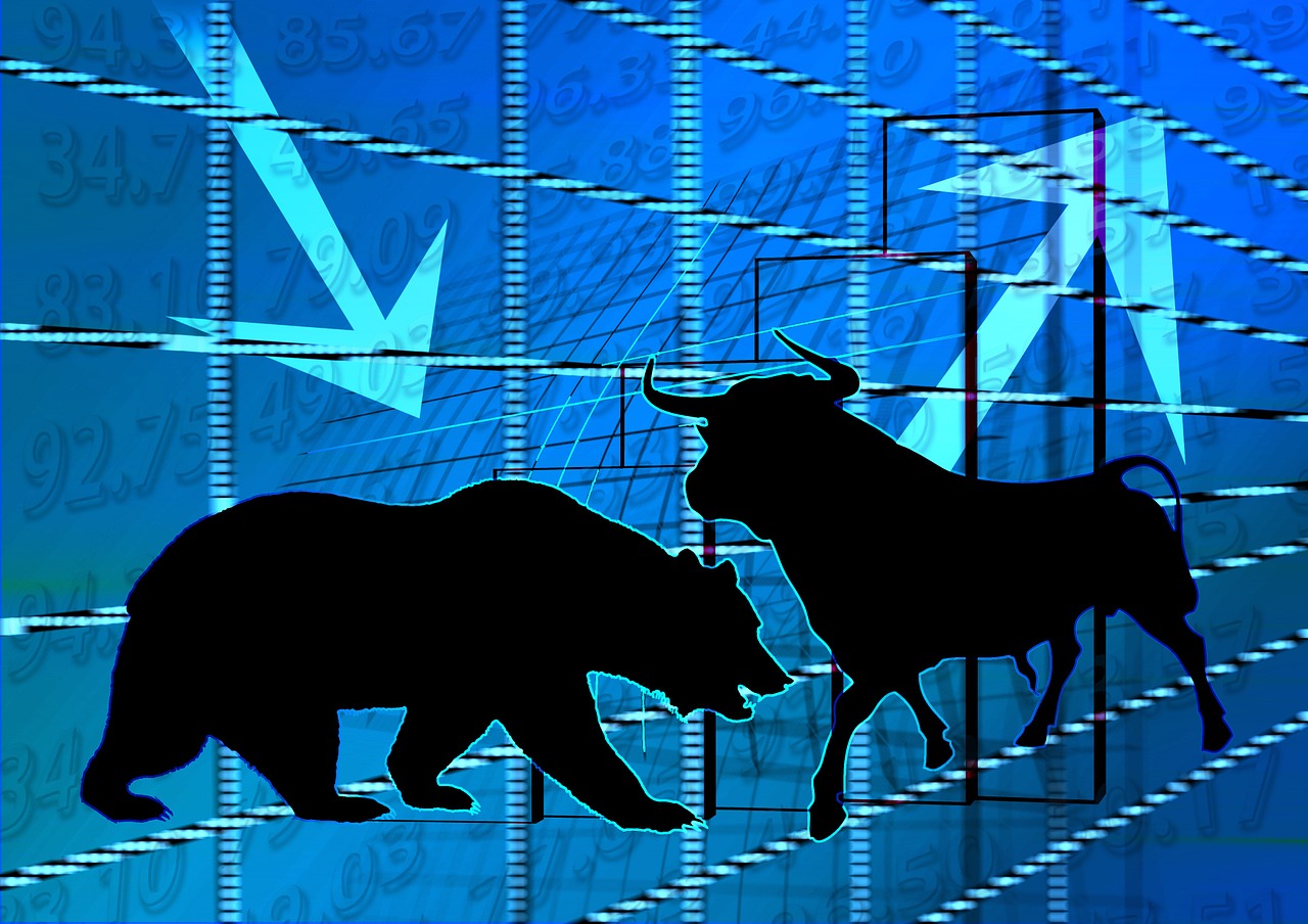 Online Special Investment Vehicle Bulls and Bears