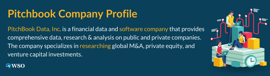 Viewing A Company Profile In Pitchbook - Guide on Navigating Key 