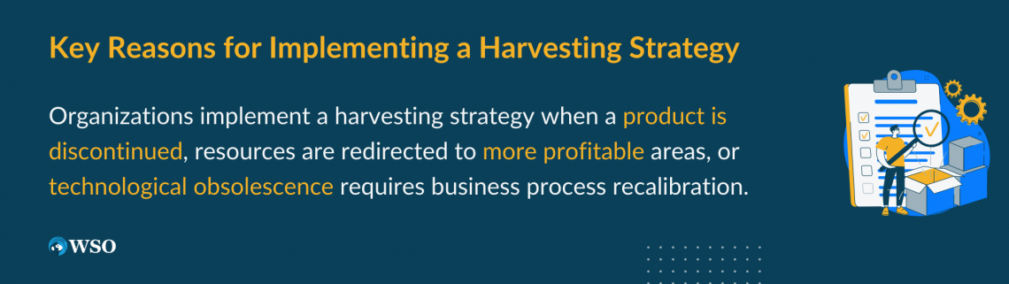 example of harvest strategy in business plan