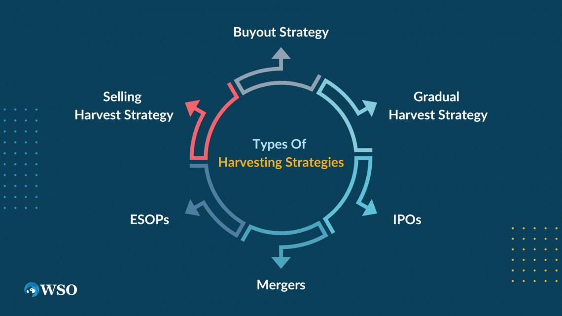 example of harvest strategy in business plan