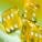 quantumquark's picture