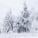 Cold_Monkey_Draft_v3.7's picture