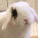 lulz1's picture