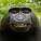 ER_Monke_ - Certified Professional