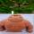 acorporatemonkey's picture