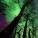 john_cambridge - Certified Professional