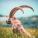 helios47's picture