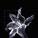 zhu1's picture