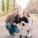 jasonhulse's picture