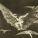 Acrobat's picture