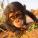 OriginalChimp's picture