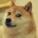 So Doge's picture