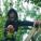 Weiyi's picture